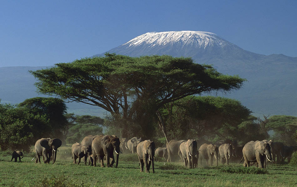 Amboseli-national-park-6