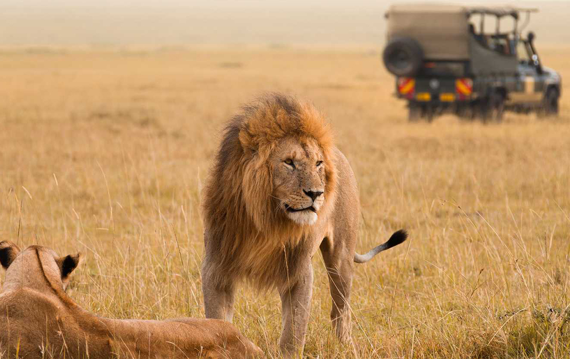 masai-mara-national-reservehdvsfk.jsbg