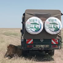 4 -Day Maasai Mara And Nakuru Kenya Midrange Private Safari (Jan-June)